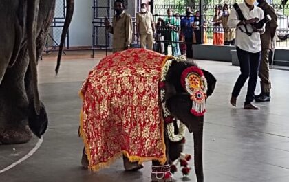 ಶ್ರೀ ಕ್ಷೇತ್ರ ಧರ್ಮಸ್ಥಳದ ಮರಿಯಾನೆಗೆ “ಶಿವಾನಿ” ಎಂದು ನಾಮಕರಣ