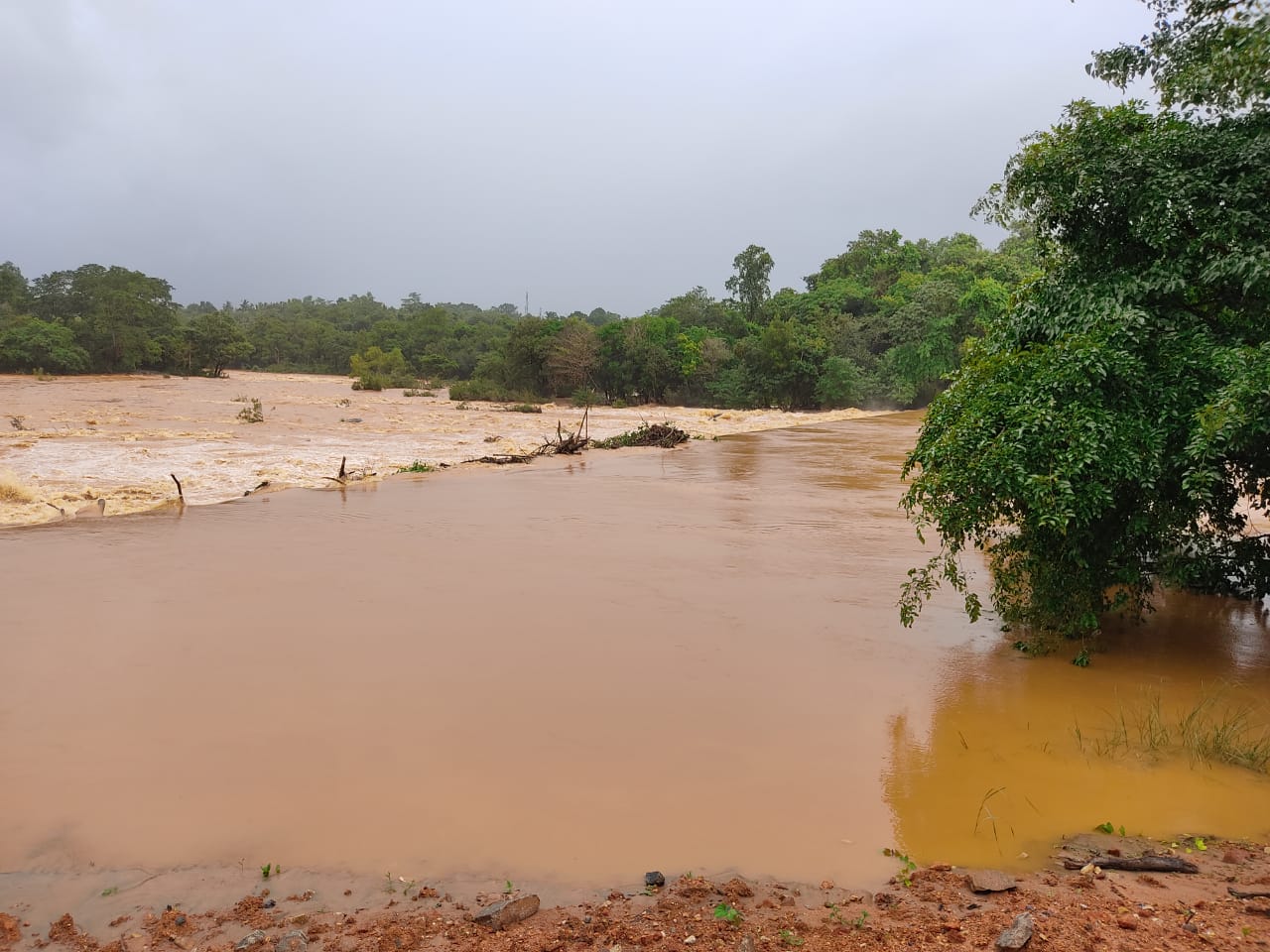 ತುಂಬಿ ಹರಿಯುತ್ತಿರುವ ನೇತ್ರಾವತಿ: ಧರ್ಮಸ್ಥಳ ಸ್ನಾನಘಟ್ಟ ಮುಳುಗಡೆಯಾಗುವ ಸಾಧ್ಯತೆ!