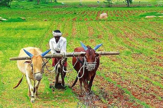 ‘ಬಗರ್ ಹುಕುಂ ಸಾಗುವಳಿದಾರರಿಗೆ ಭರ್ಜರಿ ಸಿಹಿಸುದ್ಧಿ ನೀಡಿದ ರಾಜ್ಯಸರ್ಕಾರ!