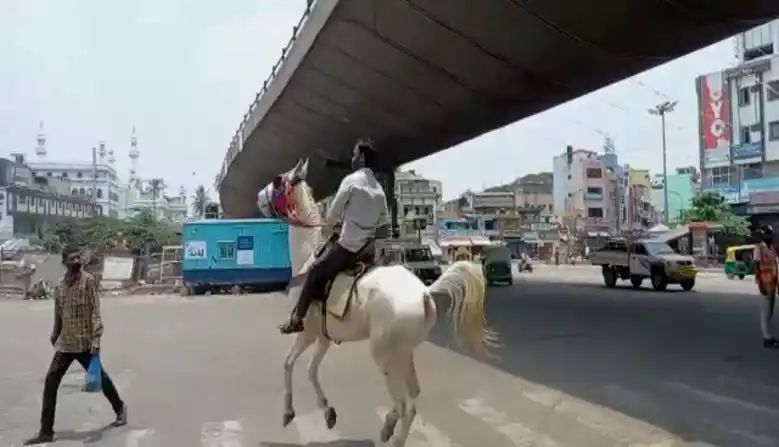 ಮದುವೆಗೆ ಹೋಗಲು ಕುದುರೆ ಏರಿ ಬಂದ ಯುವಕ! ಕುದುರೆಯ ಕಂಡು  ಪೊಲೀಸರಿಗೆ ಪುಲ್ ಶಾಕ್!