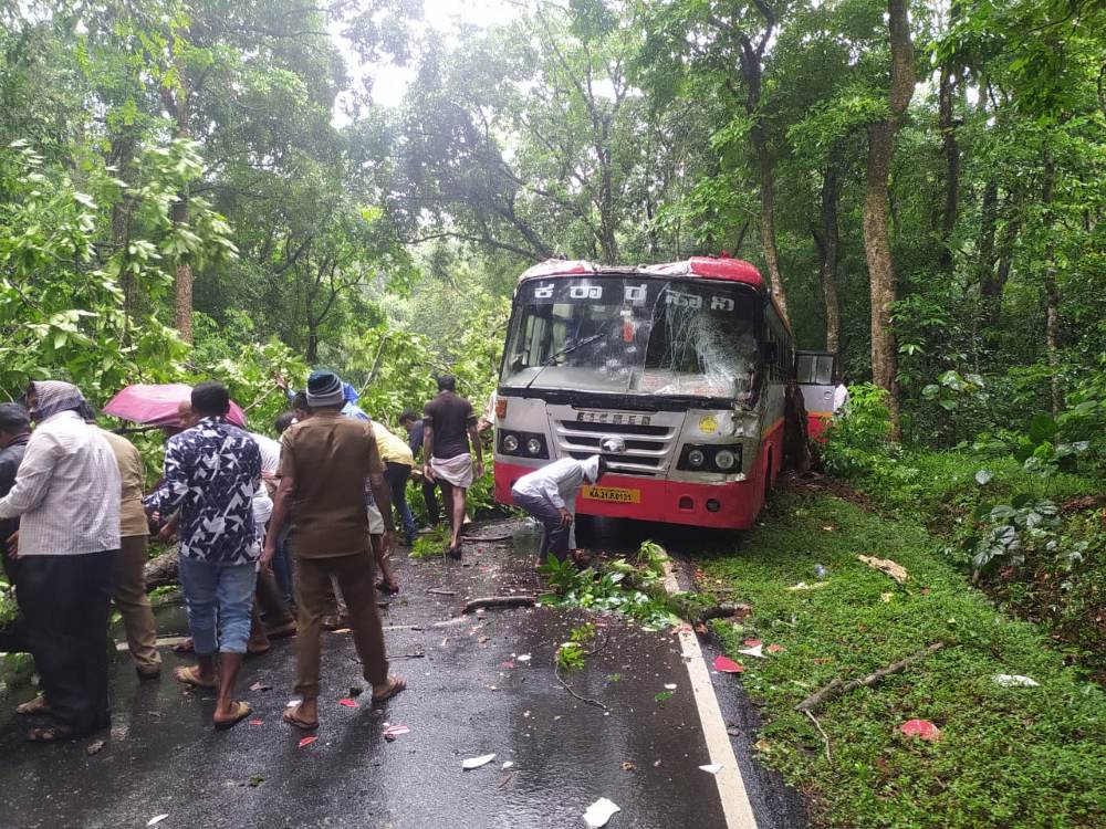 ಸುಬ್ರಹ್ಮಣ್ಯ ದಿಂದ ಬೆಂಗಳೂರಿಗೆ ಸಂಚರಿಸುತ್ತಿದ್ದ KSRTC ಬಸ್ಸ್ ಮೇಲೆ ಬಿದ್ದ ಮರ, ಪ್ರಾಣಾಪಾಯದಿಂದ ಪಾರಾದ ಪ್ರಯಾಣಿಕರು