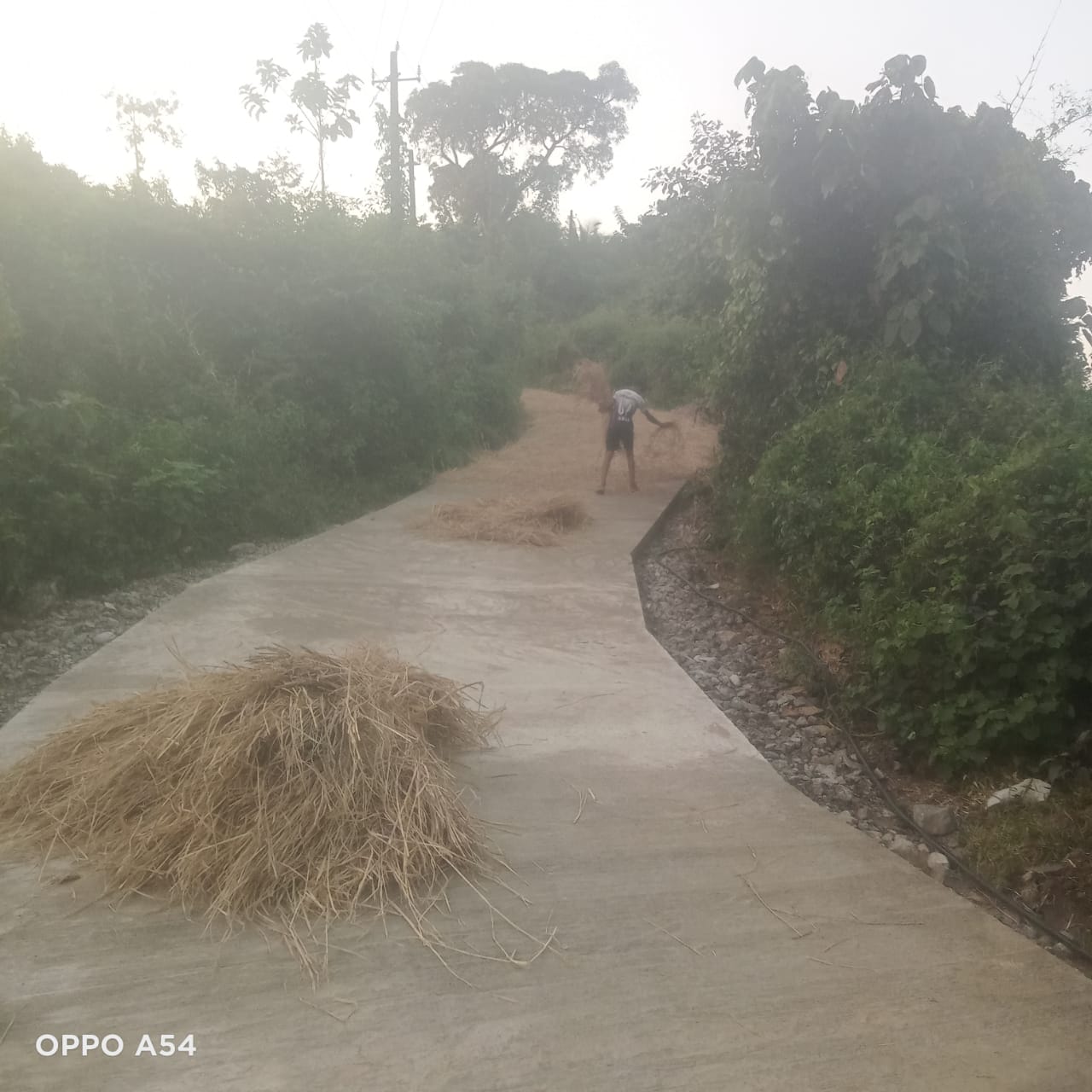 ಬಾರ್ಯ ಗ್ರಾಮದ ಮುಜ್ಜಾಳೆ – ಪೆರಿಯೊಟ್ಟು ರಸ್ತೆ ಅಭಿವೃದ್ಧಿಗೆ ಬೆಳ್ತಂಗಡಿ ಶಾಸಕರಾದ ಹರೀಶ್ ಪೂಂಜಾರವರು ಒದಗಿಸಿದ ರೂ.10 ಲಕ್ಷ ಅನುದಾನದಲ್ಲಿ ಕಾಂಕ್ರಿಟೀಕರಣ ರಸ್ತೆ ನಿರ್ಮಾಣ