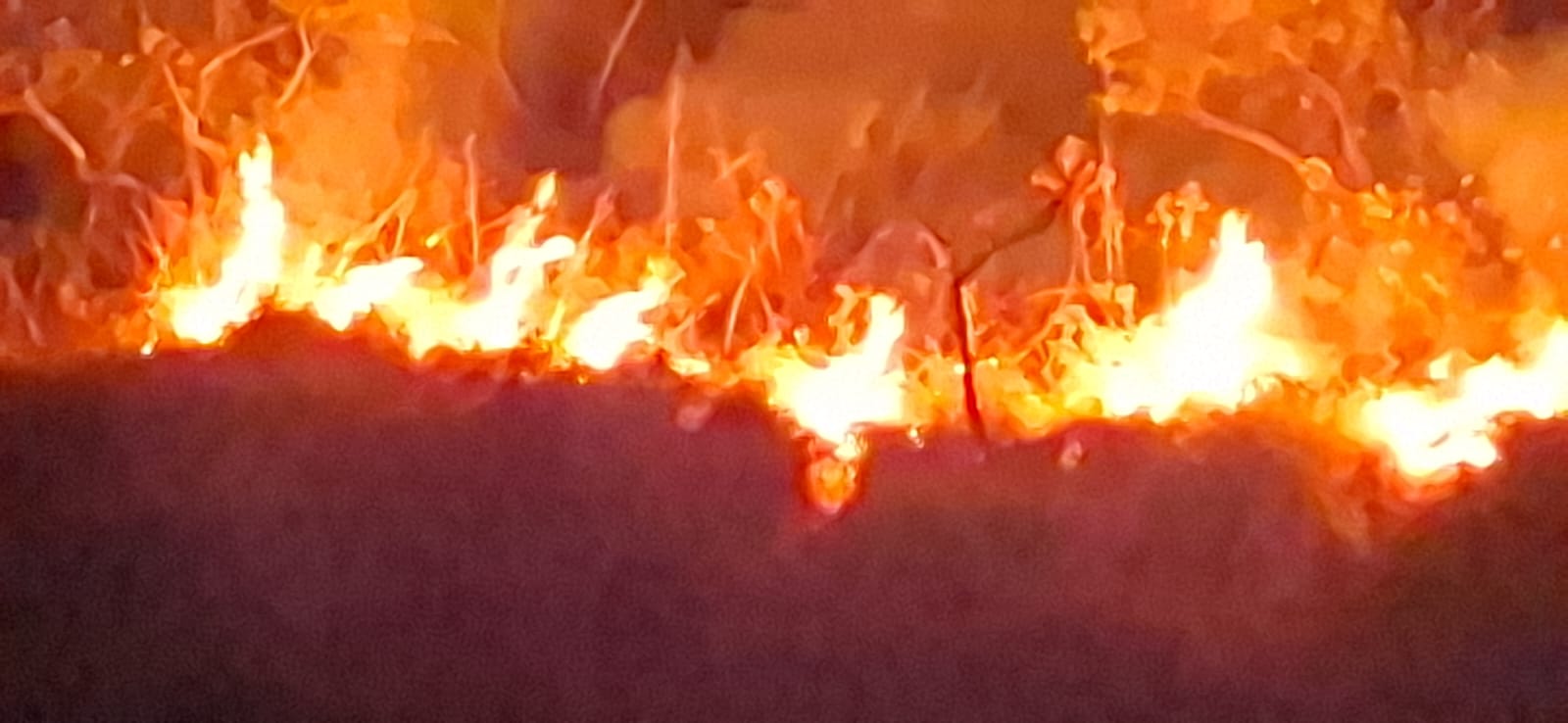 ಚಾರ್ಮಾಡಿ ಅರಣ್ಯದಲ್ಲಿ  ಬಾರಿ ಪ್ರಮಾಣದಲ್ಲಿ ಹಬ್ಬಿದ ಬೆಂಕಿಯ ಕೆನ್ನಾಲಿಗೆ