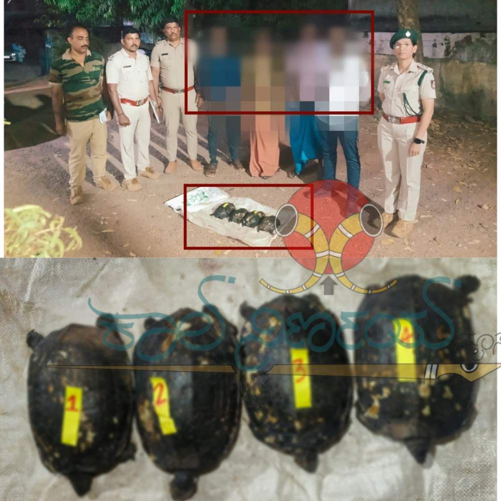 ಅಜ್ಜಿಯ ತಿಥಿ ಕಾರ್ಯಕ್ರಮಕ್ಕೆ ಬಡಿಸಲು ಆಮೆಗಳ ಬೇಟೆ, ಆಮೆಗಳ ಸಹಿತ ನಾಲ್ವರನ್ನು ವಶಕ್ಕೆ ಪಡೆದ ಪೊಲೀಸರು