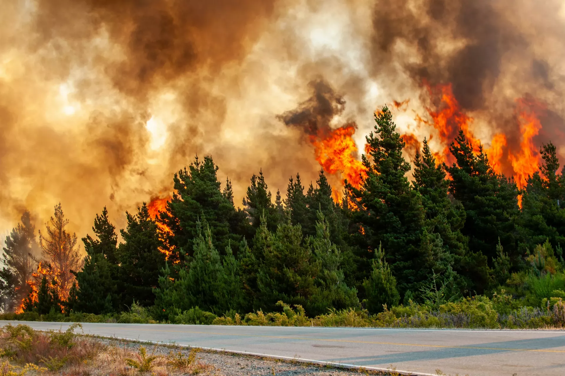  ಒಂದು ಕಿಡಿ ಬೆಂಕಿ , ಒಂದು ಹಿಡಿ ಮಣ್ಣು, ಒಂದು ಕಾಡಿನ ಅಂತ್ಯ! 