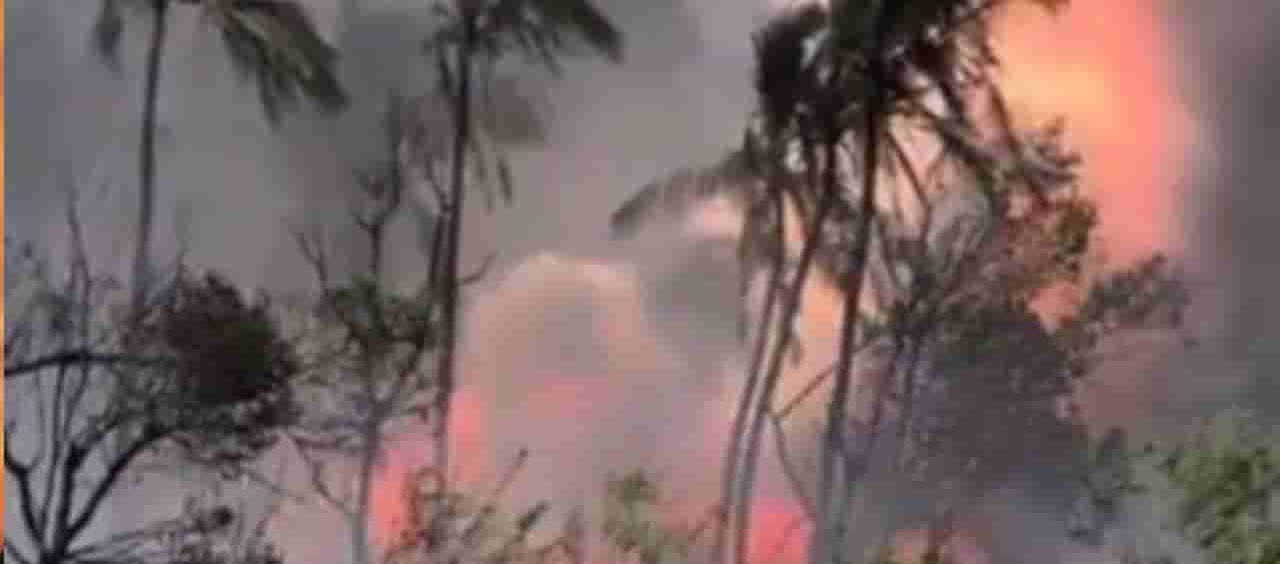 ತ್ರಿಶೂರ್ನ ಪಟಾಕಿ ಶೆಡ್ನಲ್ಲಿ ಸ್ಫೋಟ: 10ಮಂದಿ ಸಜೀವ ದಹನ ಹಲವರಿಗೆ ಗಂಭೀರ ಗಾಯ