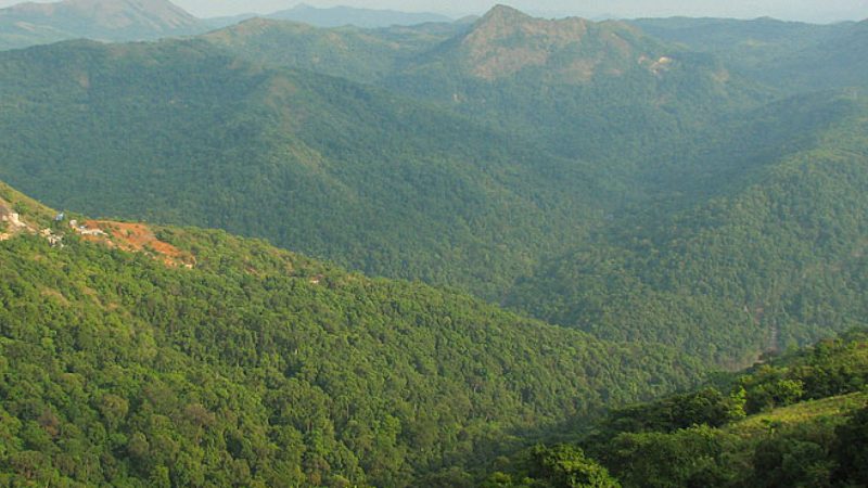 ಎತ್ತಿನಹೊಳೆ ಯೋಜನೆಗೆ ಕೇಂದ್ರದಿಂದ ಗ್ರೀನ್ ಸಿಗ್ನಲ್: 277 ಎಕರೆ ಅರಣ್ಯ ಬಳಕೆಗೆ ಷರತ್ತುಬದ್ಧ ಅನುಮತಿ