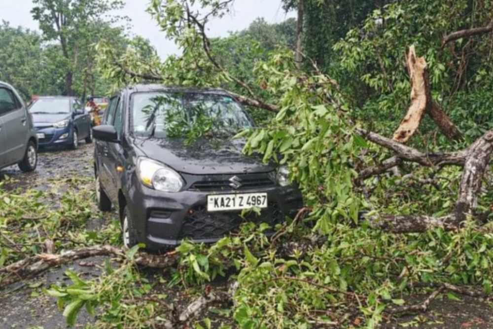 ಚಲಿಸುತ್ತಿದ್ದ ಕಾರಿನ ಮೇಲೆ ಮುರಿದು ಬಿದ್ದ ಮರದ ರೆಂಬೆ: ಕಾರು ಜಖಂ