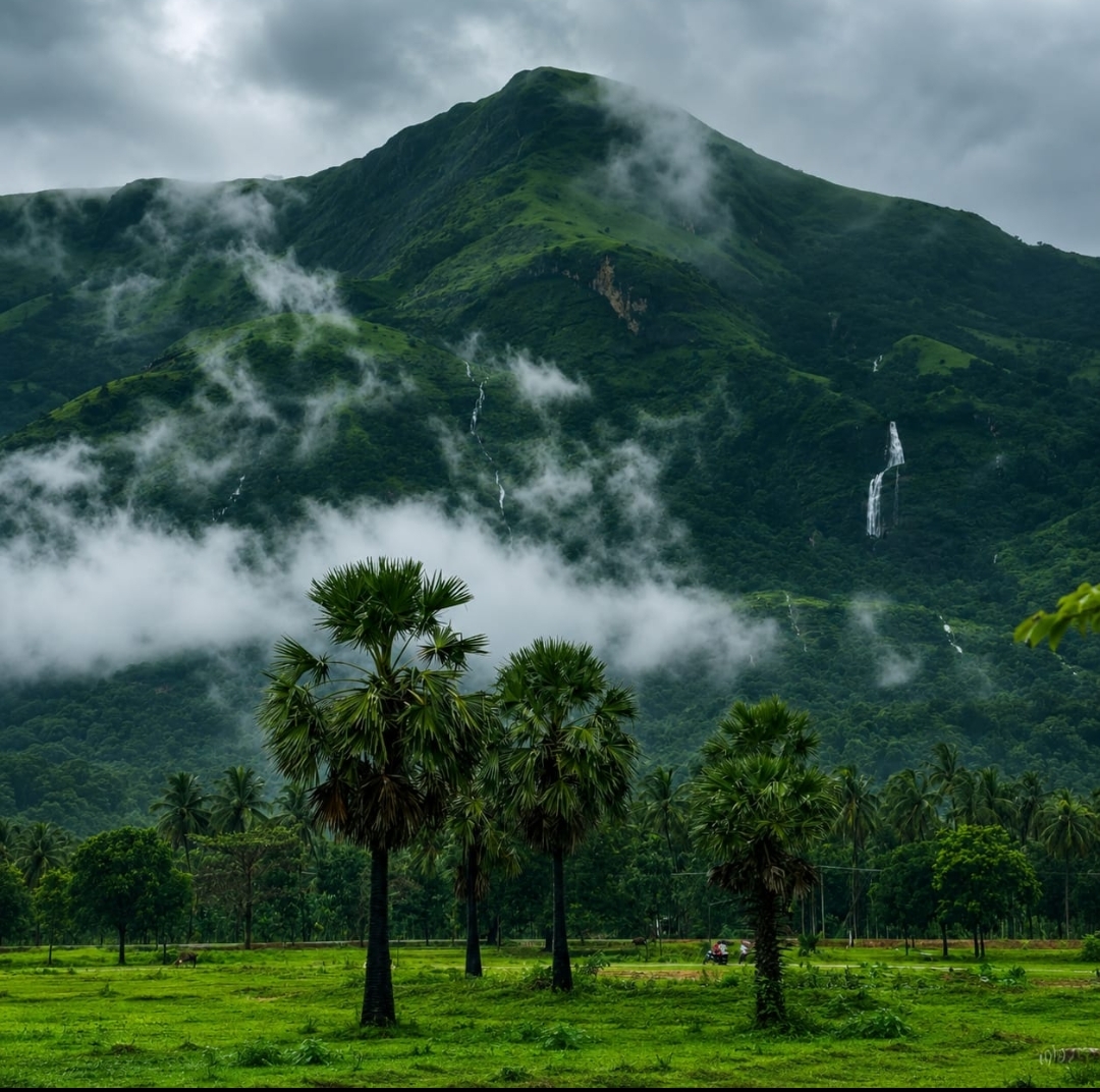 “ಮೋಡಗಳ ಮುದ್ದಾಟದಲ್ಲಿ ಮಿಂದೇಳುವ ಪರ್ವತಗಳು, ಜಲಪಾತಗಳ ಜೋಗುಳದಲ್ಲಿ ತೇಲುವ ಕಣಿವೆಗಳು, ಹಸಿರಿನ ಹೊದಿಕೆಯಲ್ಲಿ ಕಂಗೊಳಿಸುವ ಭೂಮಿ – ಇದೇ ಪ್ರಕೃತಿಯ ಮಡಿಲಲ್ಲಿ ಸಿಗುವ ನಿಜವಾದ ಸ್ವರ್ಗಾನುಭವ”