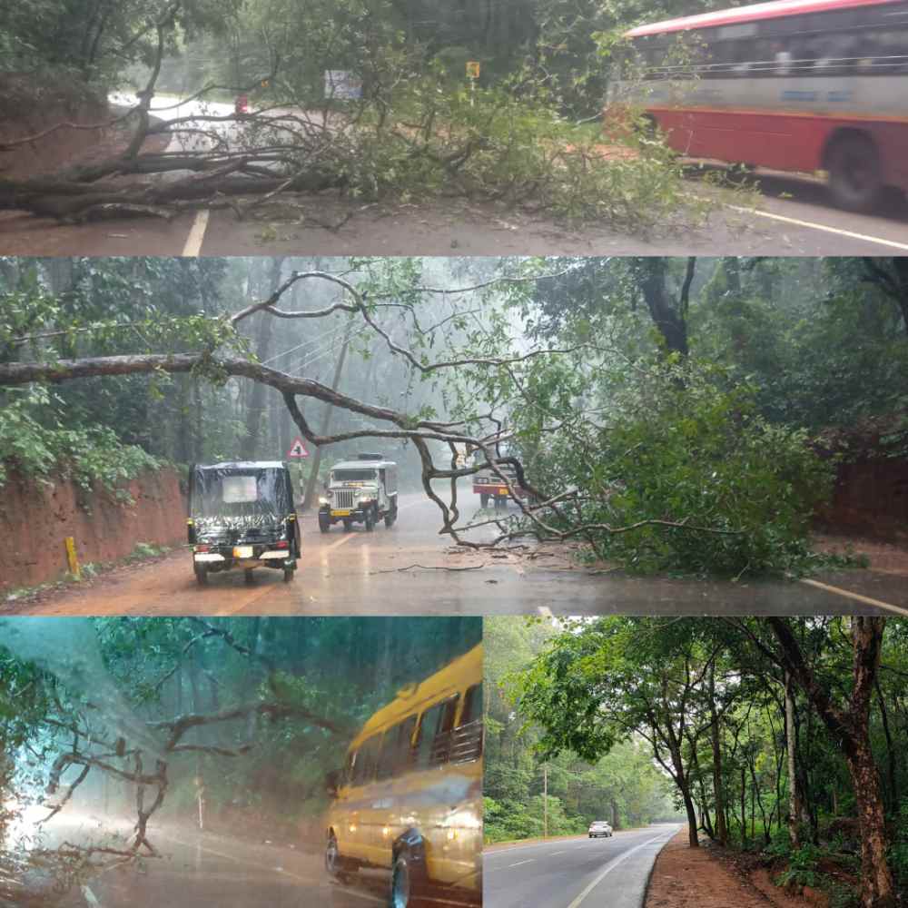 ಚಾರ್ಮಾಡಿ–ಪುಂಜಾಲಕಟ್ಟೆ ಹೆದ್ದಾರಿ ಕಾಮಗಾರಿ ನಡುವೆ ಅಪಾಯಕಾರಿ ಮರಗಳ ಭೀತಿ: ನಿರ್ಲಕ್ಷ್ಯ ಮುಂದುವರಿದರೆ ಆಪತ್ತು ಕಟ್ಟಿಟ್ಟ ಬುತ್ತಿ