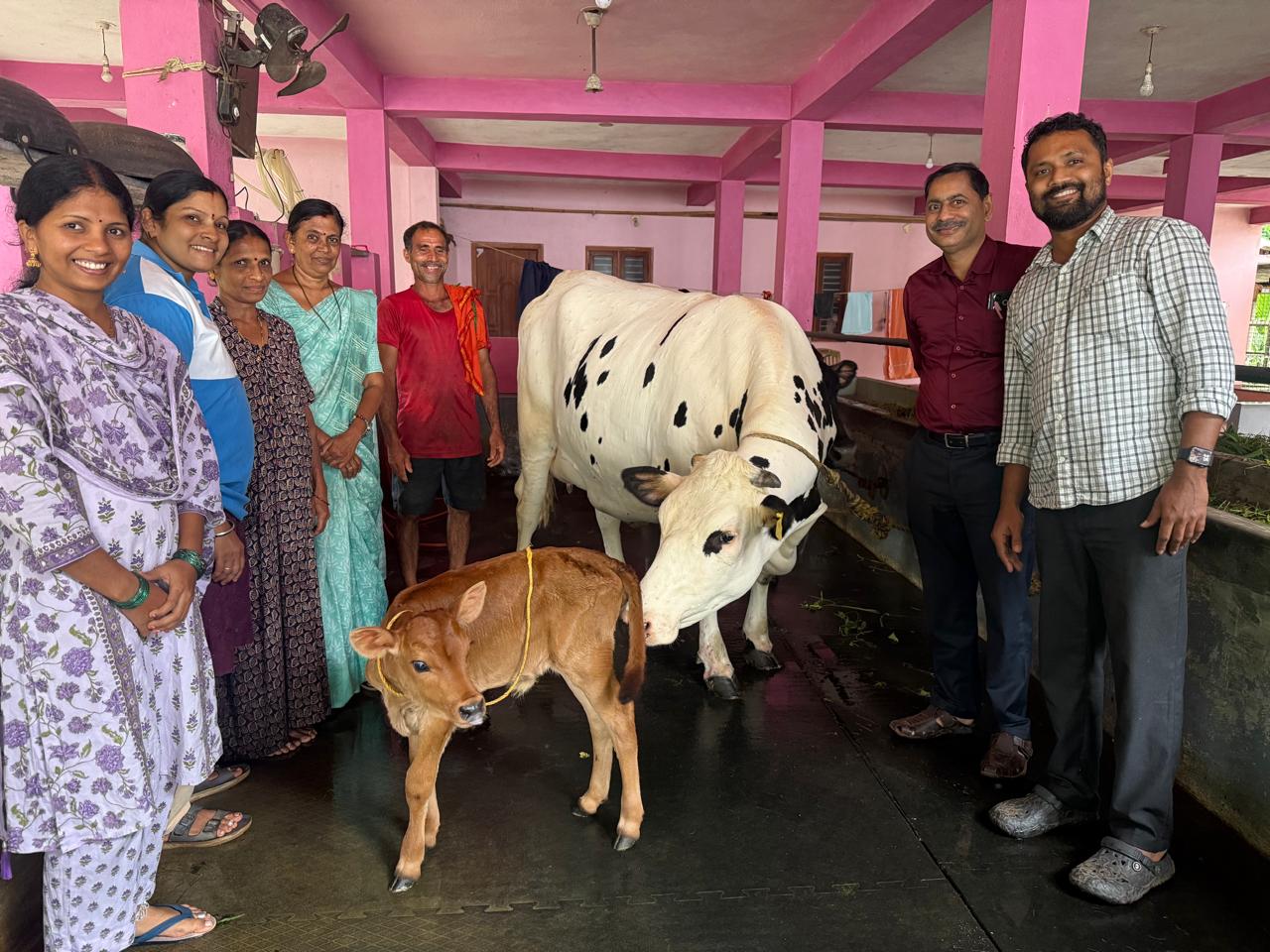 ದಕ್ಷಿಣ ಕನ್ನಡ ಹಾಲು ಒಕ್ಕೂಟದ, ಬಂದಾರು ಹಾಲು ಉತ್ಪಾದಕರ ಮಹಿಳಾ ಸಹಕಾರಿ ಸಂಘದ ವ್ಯಾಪ್ತಿಯಲ್ಲಿ ಮೊದಲ ರಾಸುವಿನ ಭ್ರೂಣ ವರ್ಗಾವಣೆ ಕರುವಿನ ಜನನ – ಪ್ರಥಮ ಪ್ರಯೋಗ ಯಶಸ್ವಿ