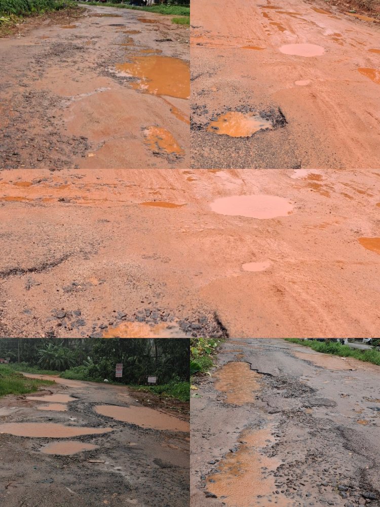 ರಸ್ತೆಯೋ, ಗುಂಡಿಗಳ ಸರಪಳಿಯೋ? ಹದಗೆಟ್ಟ ರಸ್ತೆಯ ಅಭಿವೃದ್ಧಿ ಮಾಡುವವರು ಯಾರು? ಹಲವು ವರ್ಷಗಳಿಂದ ಡಾಮರೀಕರಣ ಕಾಣದ ನೆತ್ರಾವತಿ–ಅಜುಕ್ಕುರಿ–ಮುಂಡಾಜೆ ಸಂಪರ್ಕ ರಸ್ತೆ; ಸಾರ್ವಜನಿಕರ ಆಕ್ರೋಶ