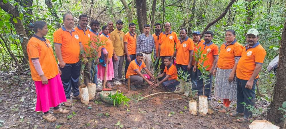 ಸಕಲೇಶಪುರ: ಬೈಕೆರೆ ಗ್ರಾಮದಲ್ಲಿ 300 ಹಣ್ಣಿನ ಗಿಡಗಳ ನೆಡುವ ಮೂಲಕ ಪ್ರಾಣಿ–ಪಕ್ಷಿಗಳ ಆಹಾರ ಸಂರಕ್ಷಣೆಗೆ ಶ್ರೀ ಕ್ಷೇತ್ರ ಧರ್ಮಸ್ಥಳ ಗ್ರಾಮಾಭಿವೃದ್ಧಿ ಯೋಜನೆಯ ಶೌರ್ಯ ತಂಡದ ವಿಶೇಷ ಅಭಿಯಾನ